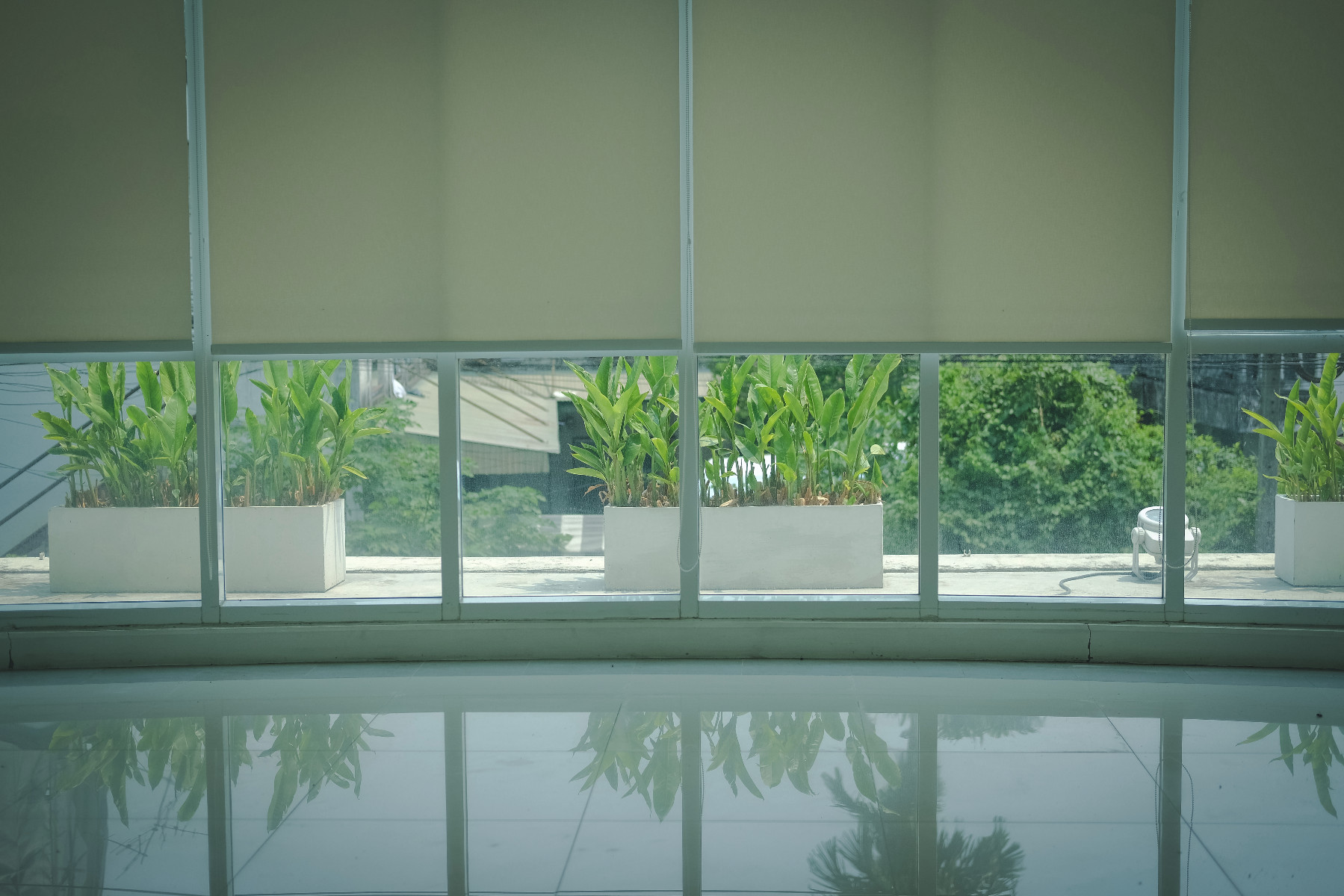 plant on terrace & aluminium window roll blinds roller curtain